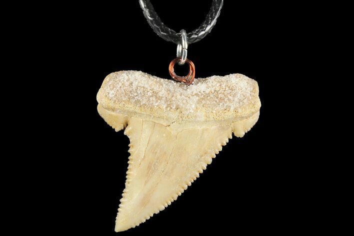 Fossil Shark (Palaeocarcharodon) Tooth Necklace -Morocco #110250